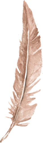 Quill feather